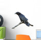 Raven Wall Decal