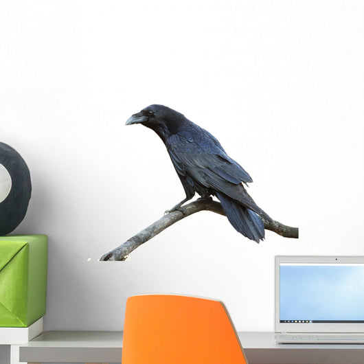 Raven Wall Decal