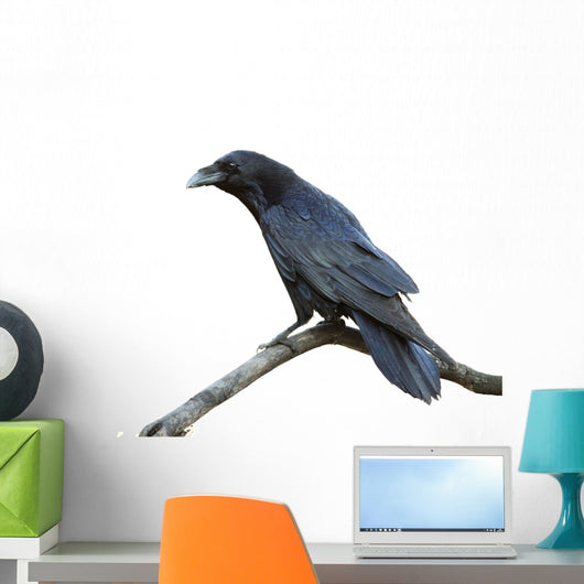 Raven Wall Decal
