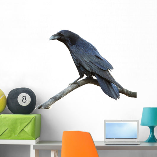 Raven Wall Decal