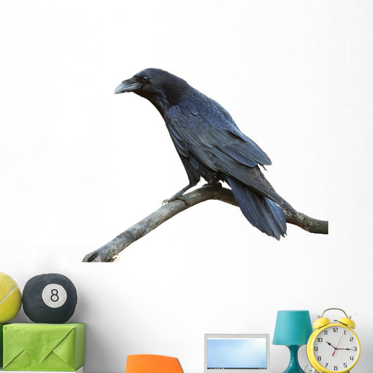 Raven Wall Decal