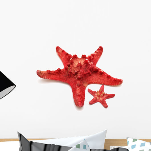 Red Sea Star