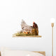Chicken in nest with eggs isolated on white Wall Decal