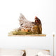Chicken in nest with eggs isolated on white Wall Decal