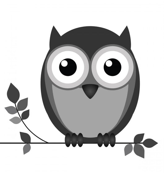 Wise owl on branch isolated on white background Wall Decal