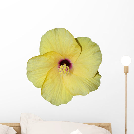 Hibiscus jaune Wall Mural