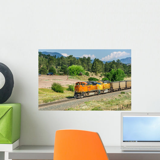 Goods Train