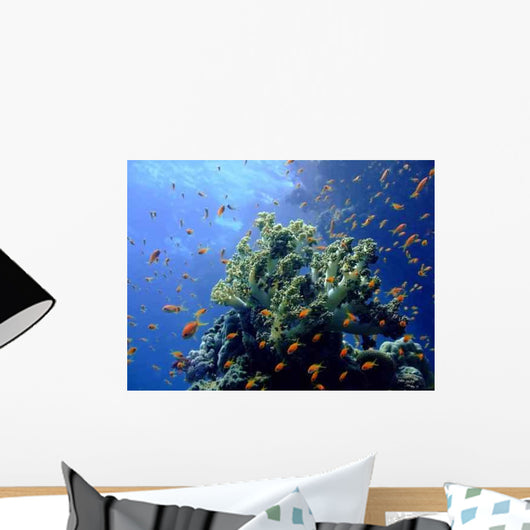 Underwater Landscape with Scalefin Wall Decal