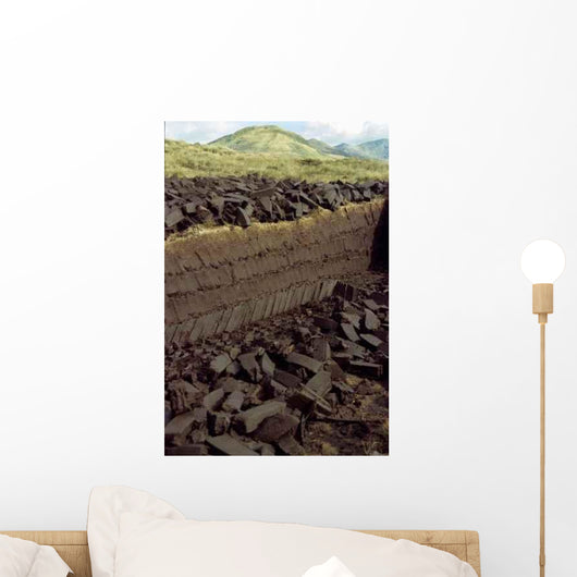 Bog Operation Connemara Wall Decal Design 2