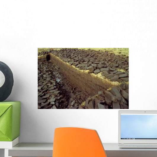 Bog Operation Connemara Wall Decal Design 1