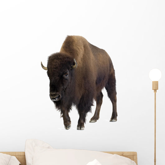 Bison Wall Decal