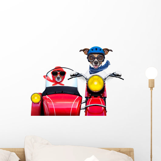 motorbike dogs