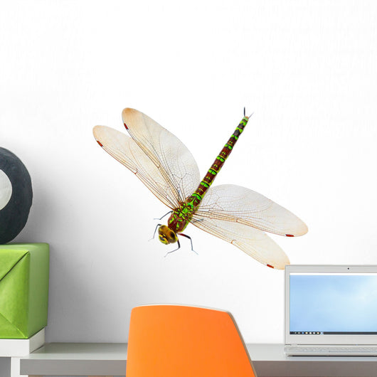 Dragonfly Wall Decal