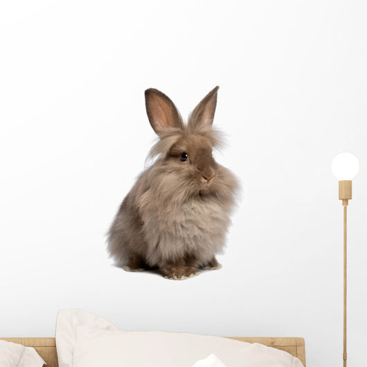 Cute Sitting Chocolate Lionhead Bunny Rabbit Wall Decal