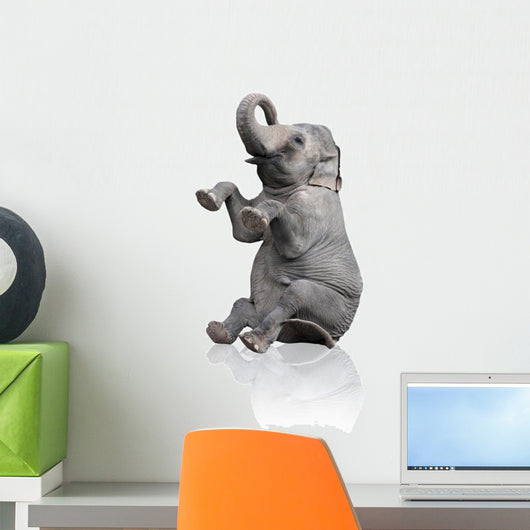 sitzender Elefant