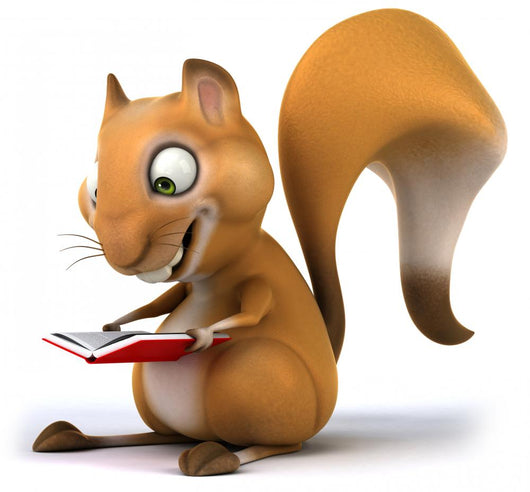 Squirrel