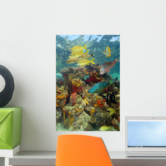 Underwater scenery with colorful marine life