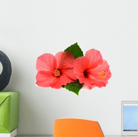 Two pink hibiscus Wall Decal