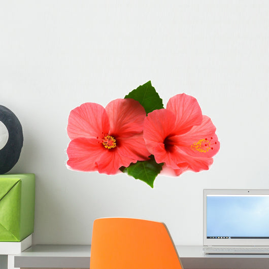Two Pink Hibiscus Wall Decal