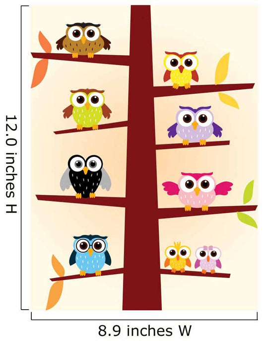Owls colors
