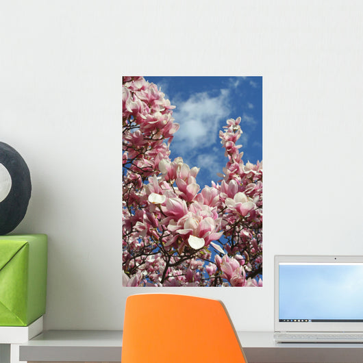 magnolia blossoms against the sky Wall Mural