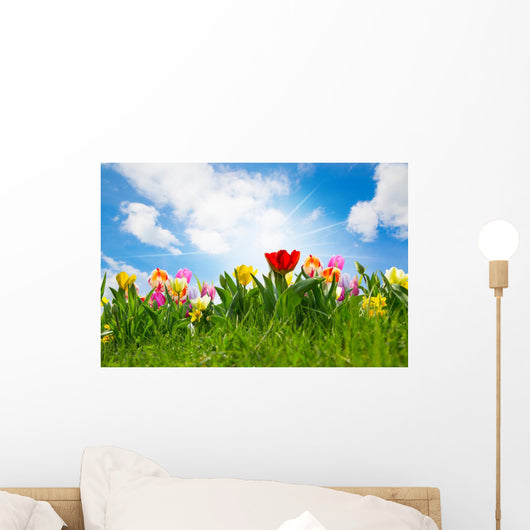 Tulpenfeld Ostern