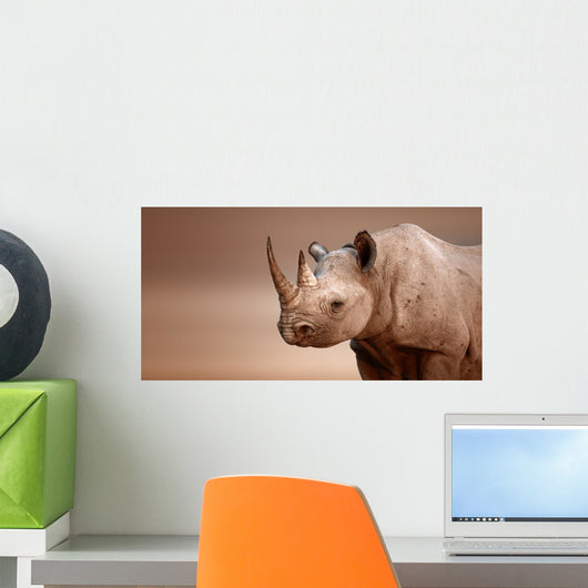 Black Rhinoceros portrait