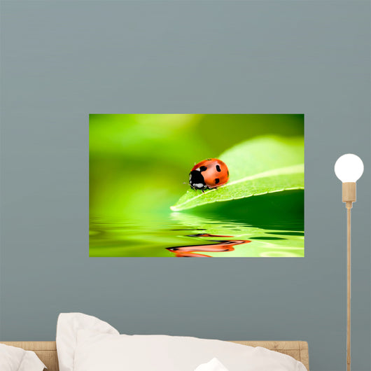 Ladybug Balanced on a Bright Green Leaf Wall Mural