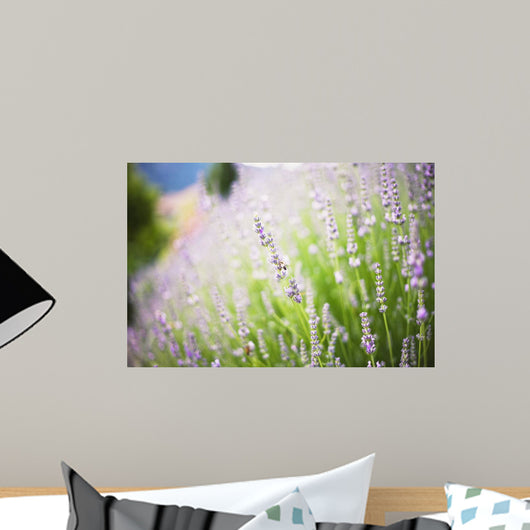Fiori Di Lavanda