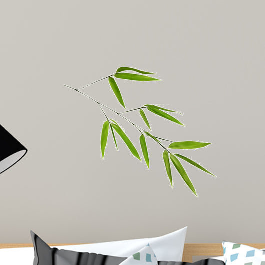 illustration with isolated green bamboo branch