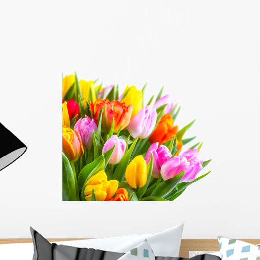 Tulip Bouquet Against a White Background