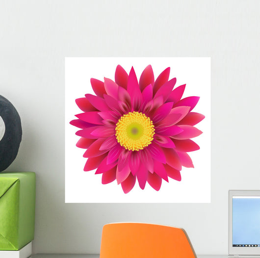 Pink Gerbera