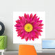 Pink Gerbera