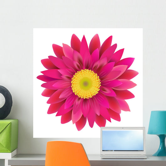 Pink Gerbera