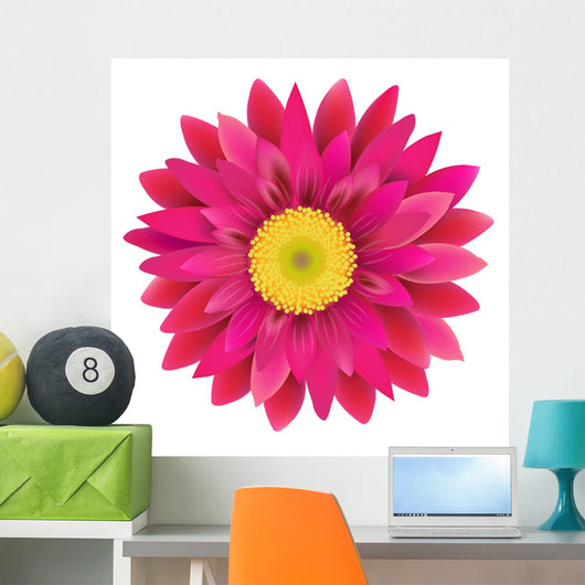 Pink Gerbera