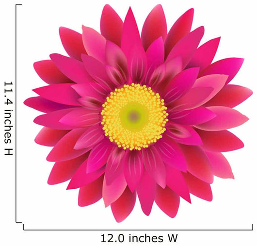 Pink Gerbera