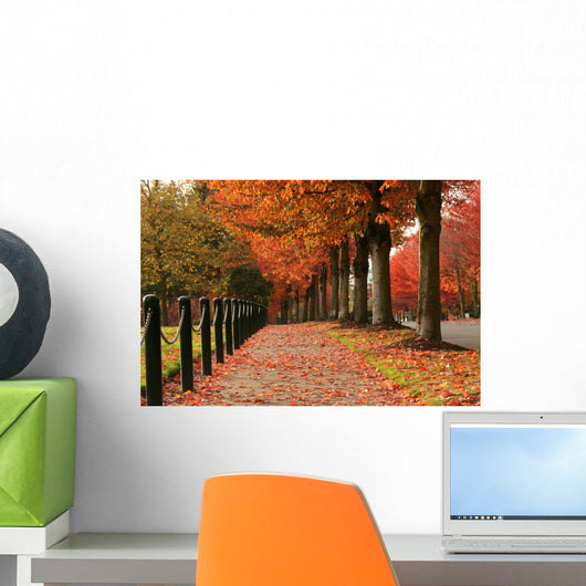Fall Colors in Redmond Wall Mural
