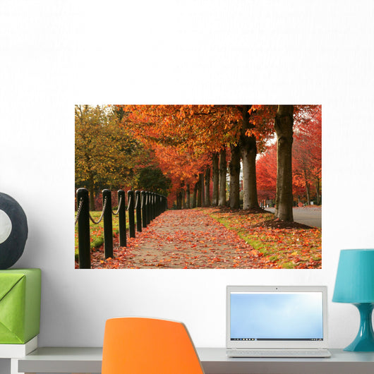 Fall Colors in Redmond Wall Mural