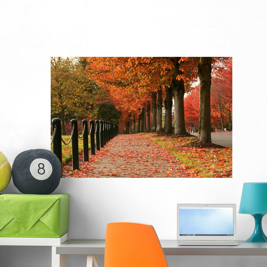 Fall Colors in Redmond Wall Mural