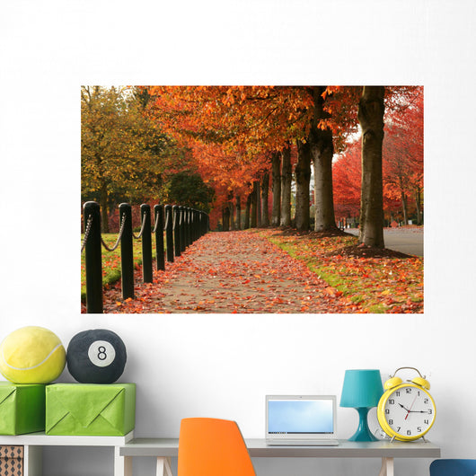 Fall Colors in Redmond Wall Mural