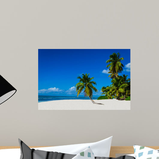 Tropical sandy beach with palm trees, Dominican Republic