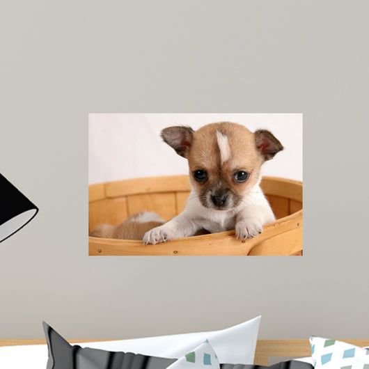 popup puppy Wall Mural