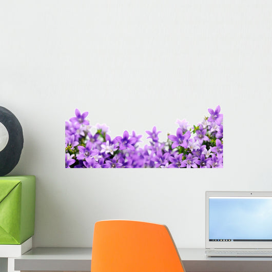 frame of bluebells