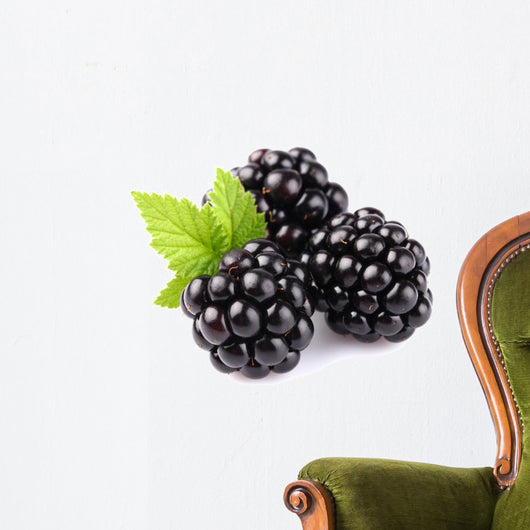 Blackberry with leaf Wall Decal