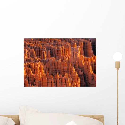 Rocky Canyon Wall Mural