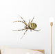 Wasp Spider Viewed from up High, Argiope Bruennichi, Isolated Wall Decal