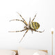 Wasp Spider Viewed from up High, Argiope Bruennichi, Isolated Wall Decal