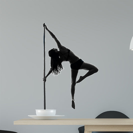 woman pole dancer silhouette