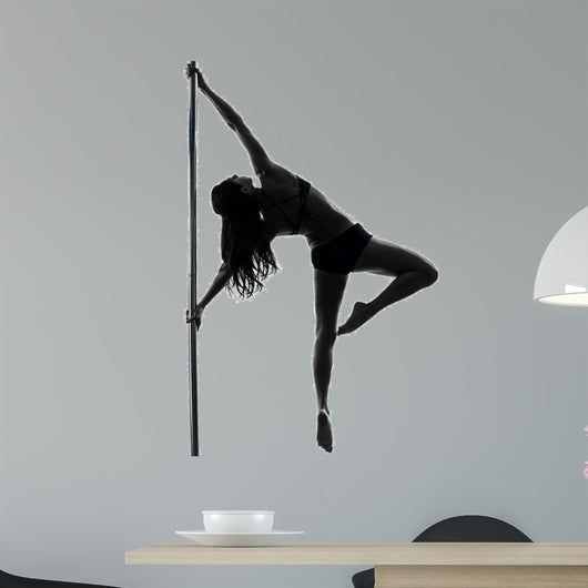 woman pole dancer silhouette