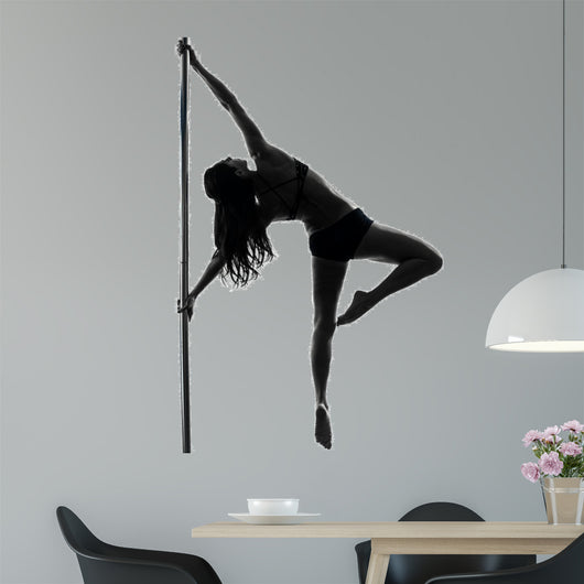 woman pole dancer silhouette